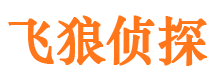 宣恩市调查公司